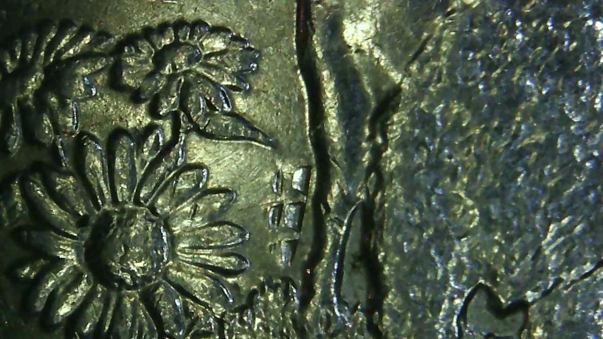 2005-Kansas-Quarter-What-Is-This-On-The-Coin